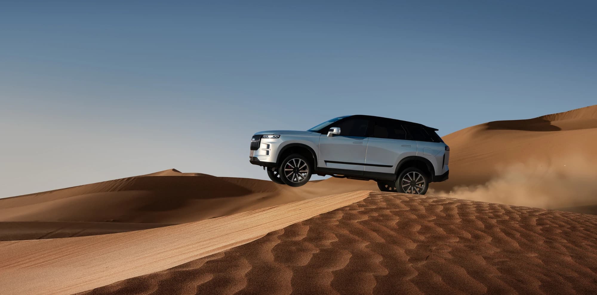 Desert Motion